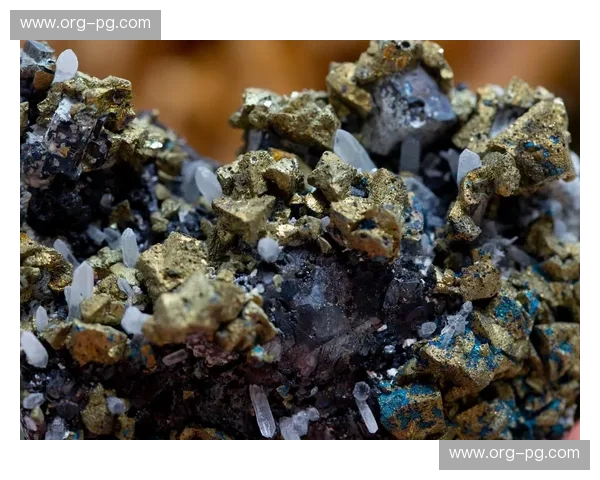 掘金集锦：发现你的下一个价值矿脉